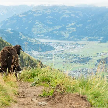 Biggest Helen - 5 Bedrooms, 7 Bathrooms, Air Condition 別荘 カプルーン