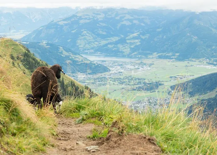 Biggest Helen - 5 Bedrooms, 7 Bathrooms, Air Condition Σπίτι διακοπών Kaprun